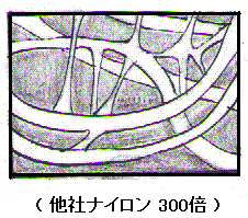 ���Ѓi�C�����@�f�ʐ}