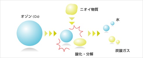 オゾン脱臭