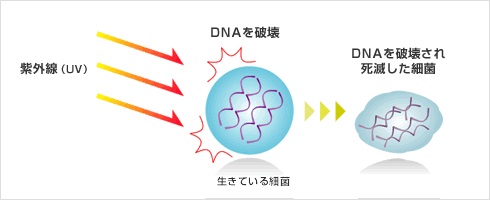 紫外線殺菌のイメージ
