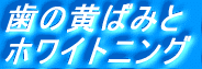 ���̉��΂݂ƃz���C�g�j���O�@�o�i�[