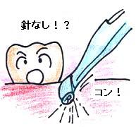 �V���W�F�b�g