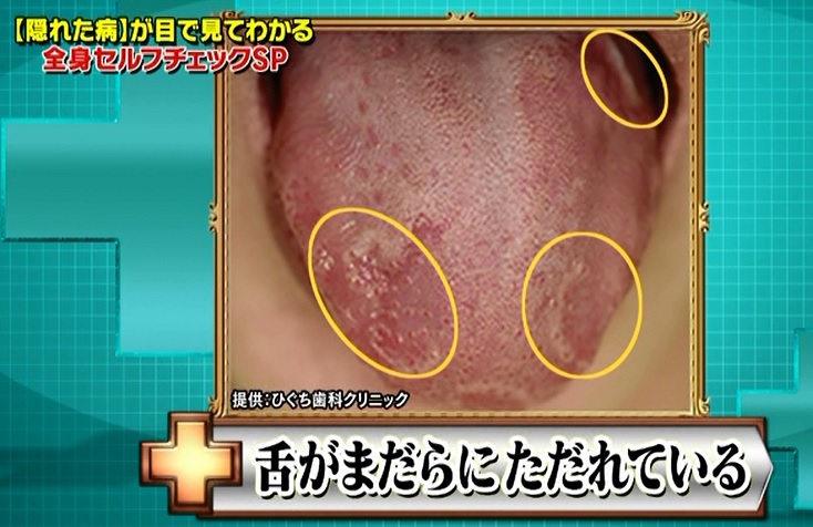 提供写真