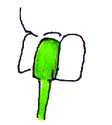 ���Ă݂����@