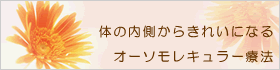 体の内側からきれいになるオーソモレキュラー療法