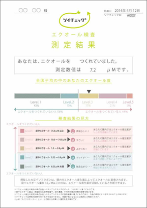 ソイチック 結果用紙の見本1