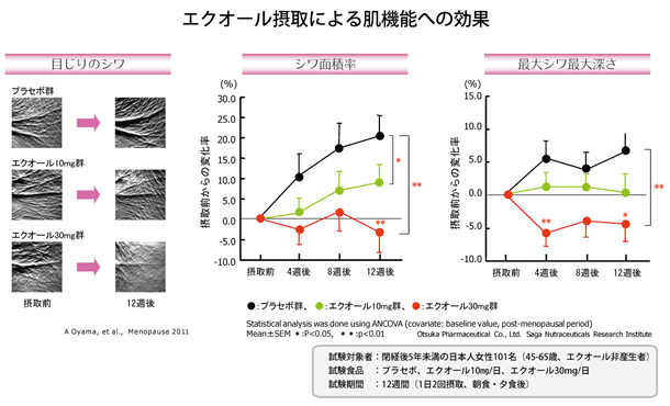 エクオール摂取による肌機能への効果