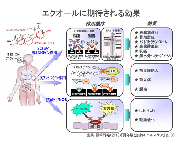 エクオールに期待される効果